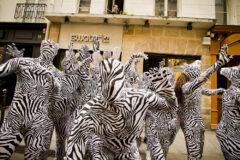 Swatch Zebra Day à Paris