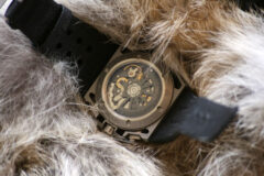 Fond Linde Werdelin SpidoSpeed