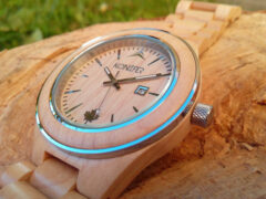 wood-watch-Konifer