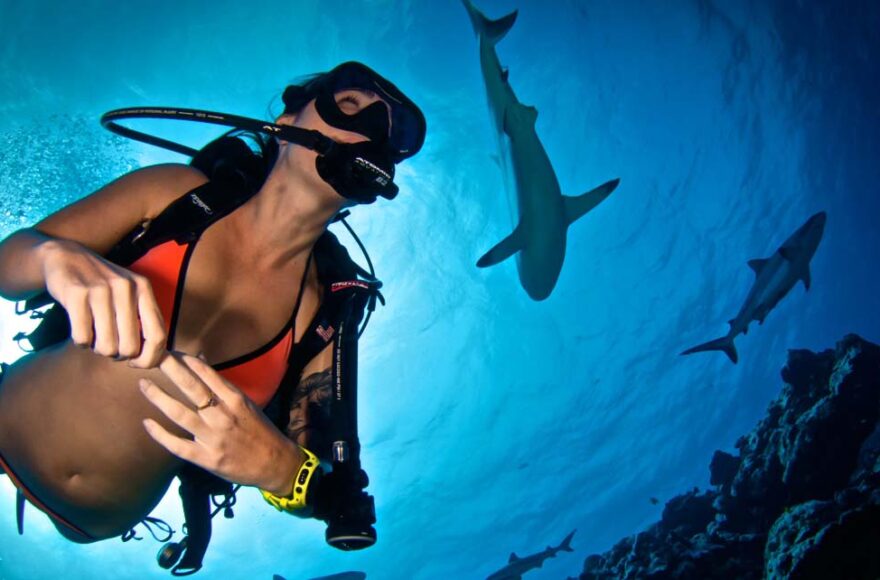 Montres de plongée influence