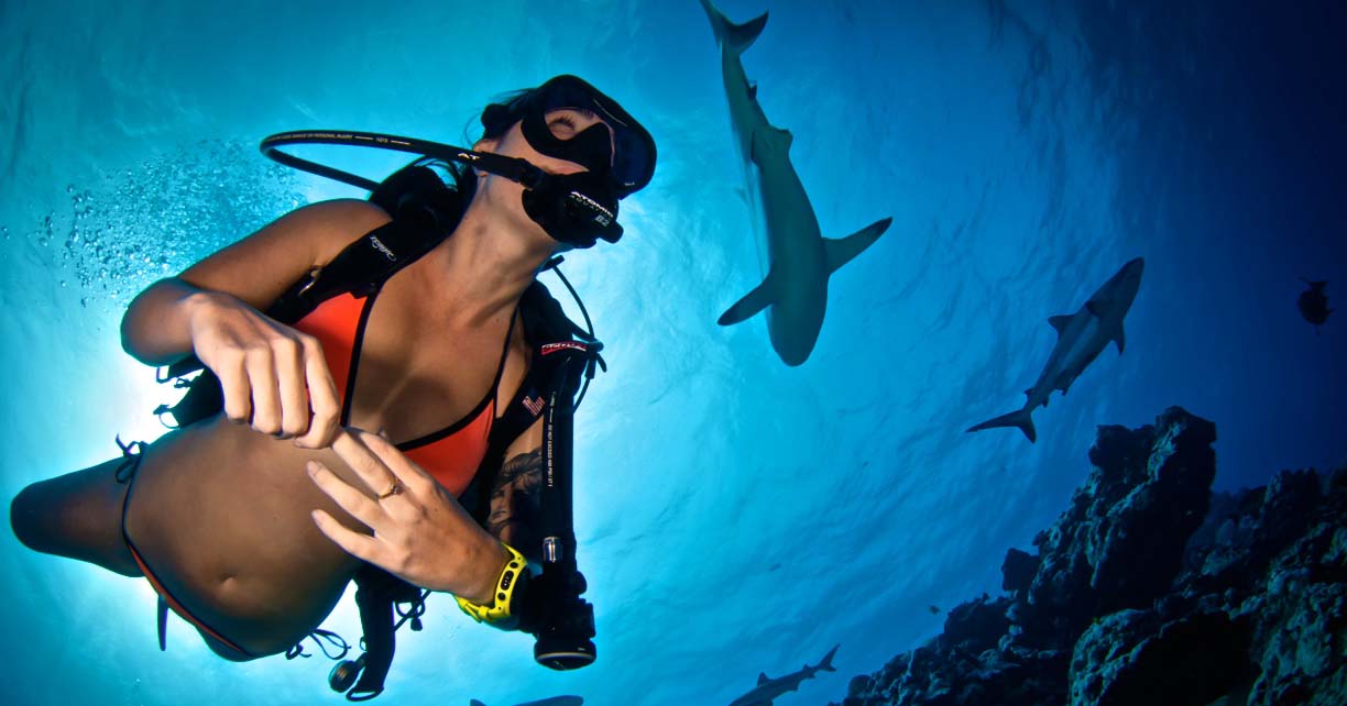 Montres de plongée influence