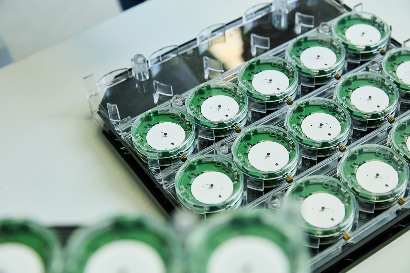 certification COSC mouvements