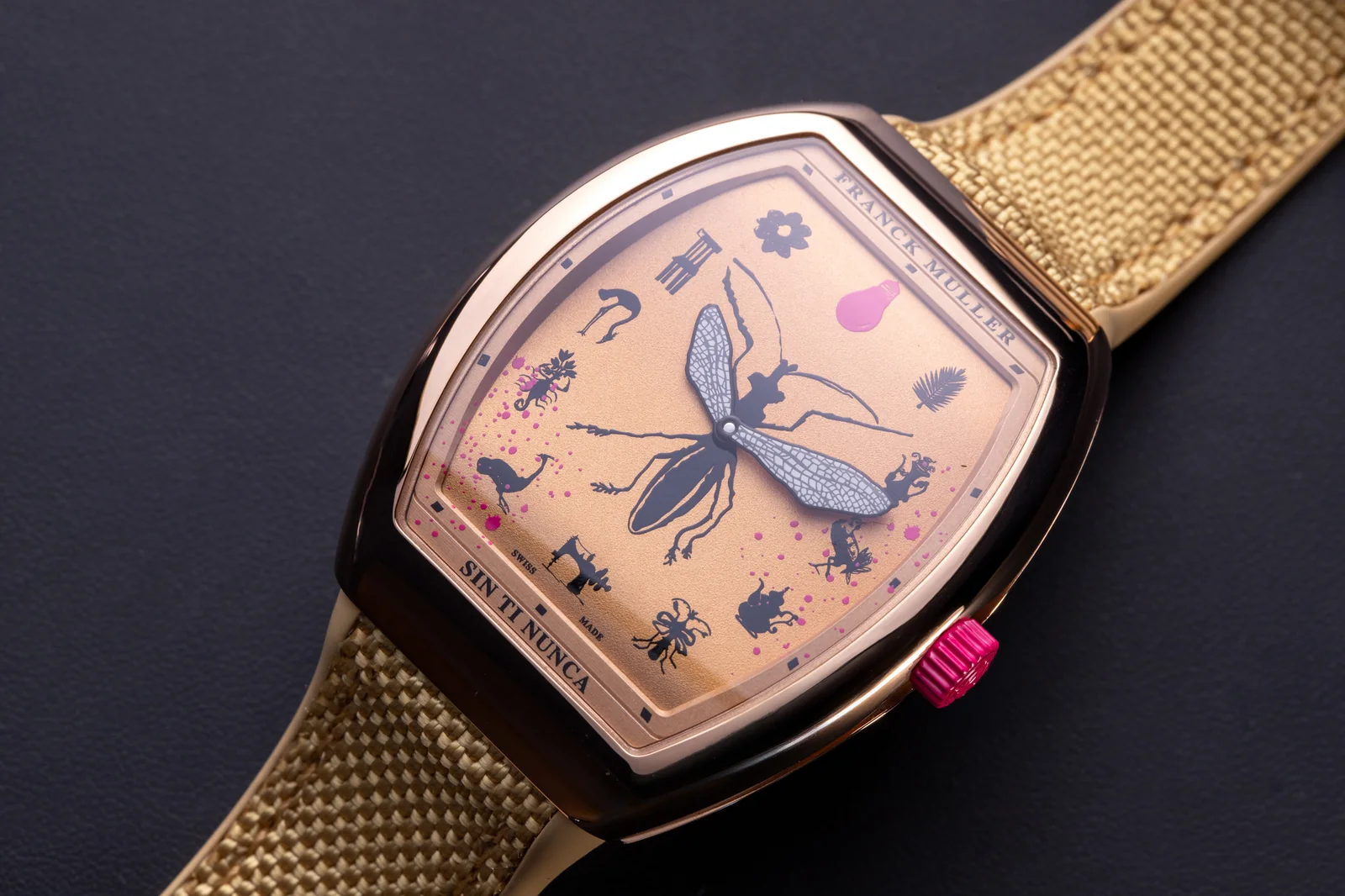 Franck muller vanguard slim amador montes watch